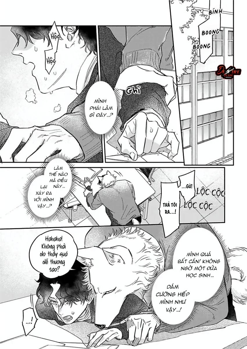 Tình Yêu Mãnh Liệt Của Ngài Sói Chapter 6 - Trang 2
