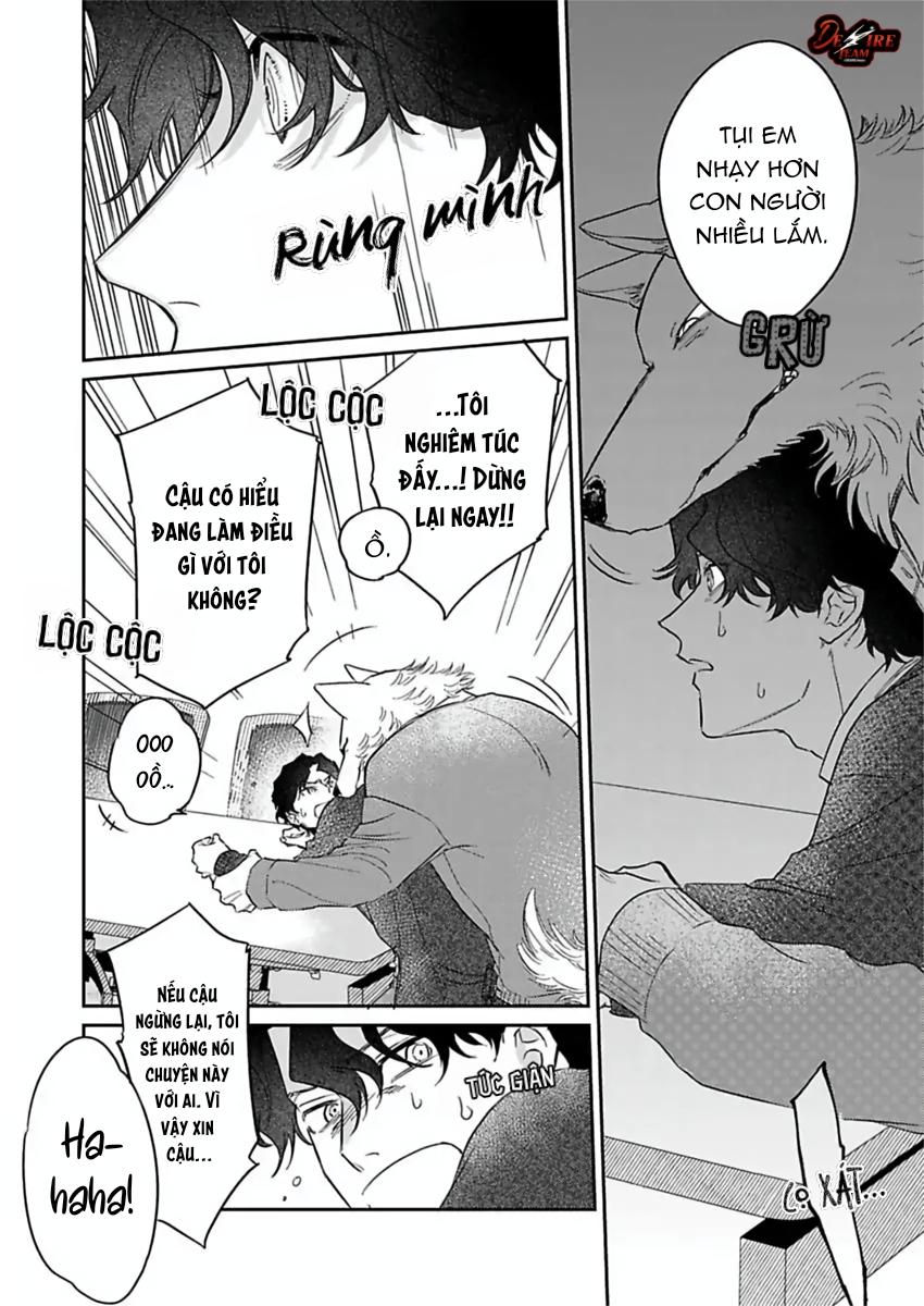 Tình Yêu Mãnh Liệt Của Ngài Sói Chapter 6 - Trang 2
