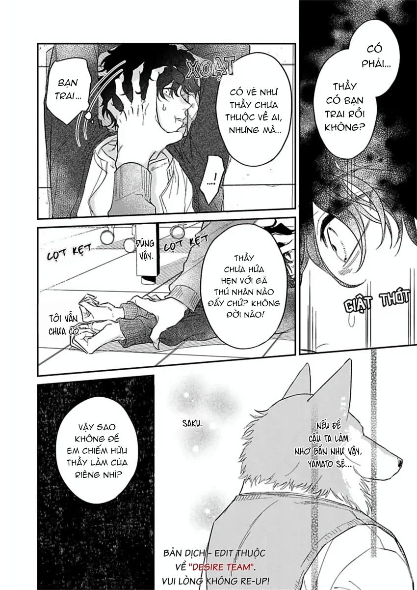 Tình Yêu Mãnh Liệt Của Ngài Sói Chapter 6 - Trang 2