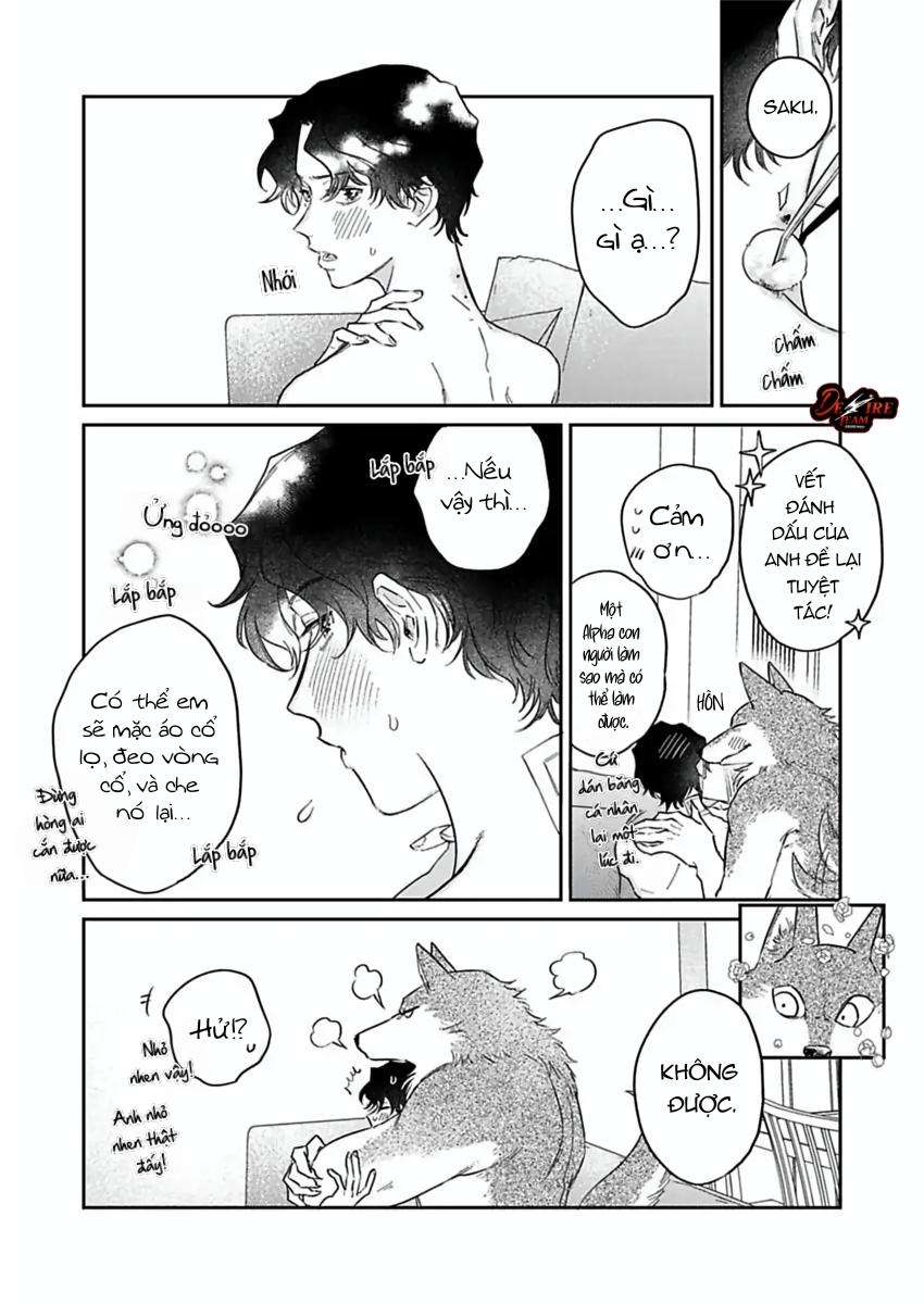 Tình Yêu Mãnh Liệt Của Ngài Sói Chapter 6 - Trang 2