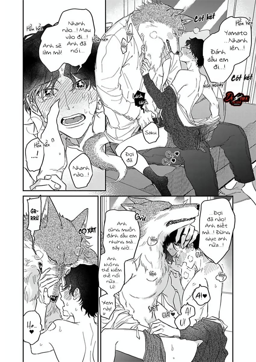 Tình Yêu Mãnh Liệt Của Ngài Sói Chapter 6 - Trang 2