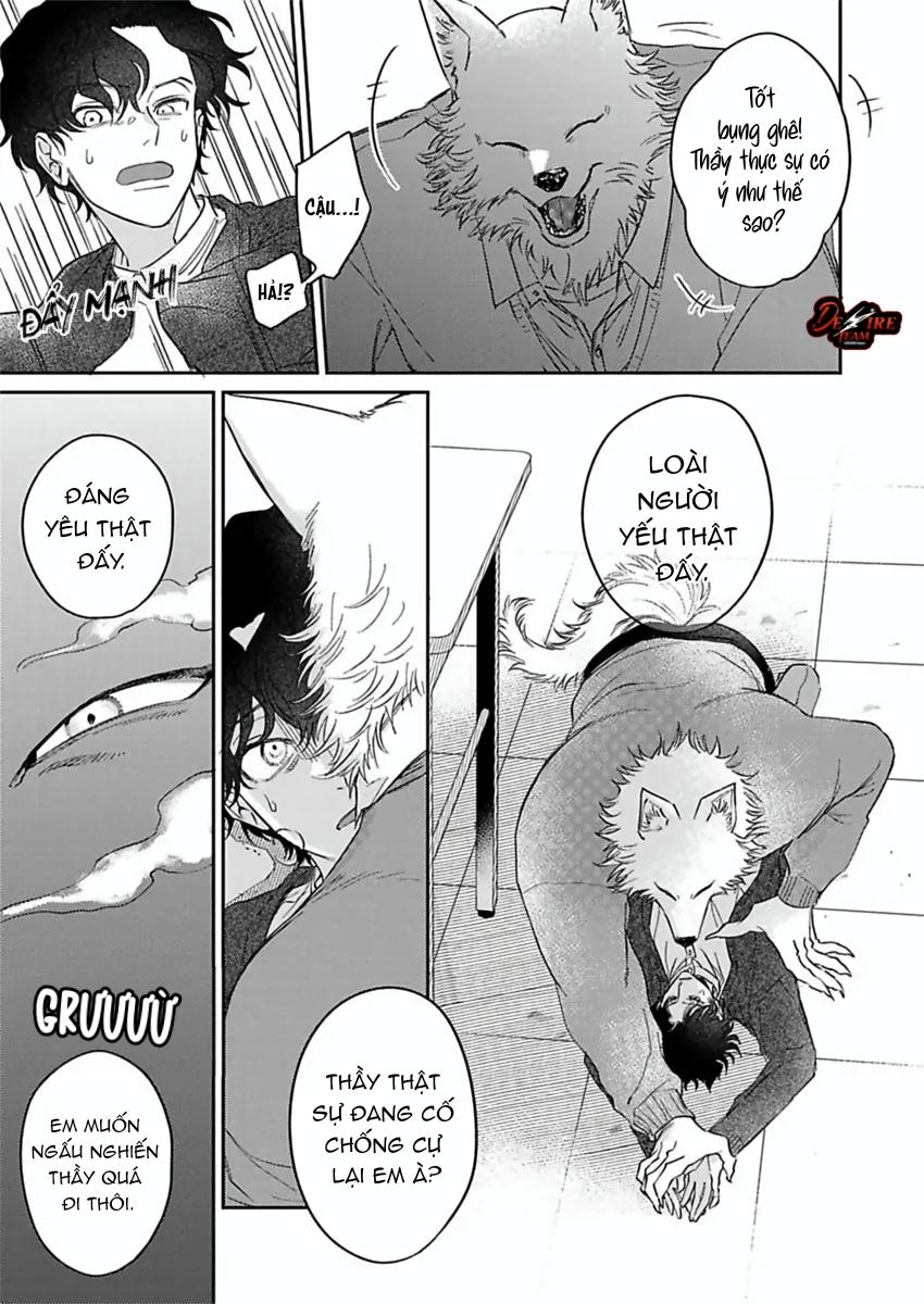 Tình Yêu Mãnh Liệt Của Ngài Sói Chapter 6 - Trang 2