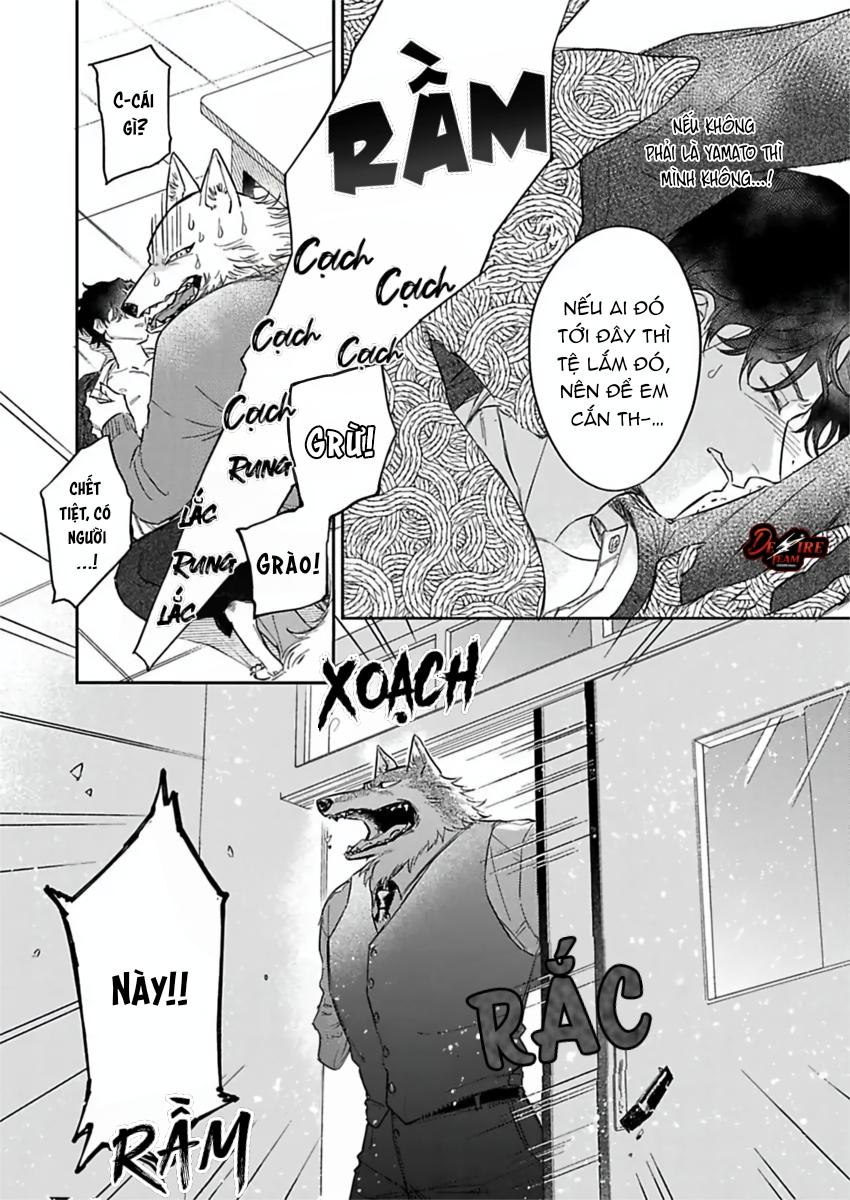 Tình Yêu Mãnh Liệt Của Ngài Sói Chapter 6 - Trang 2
