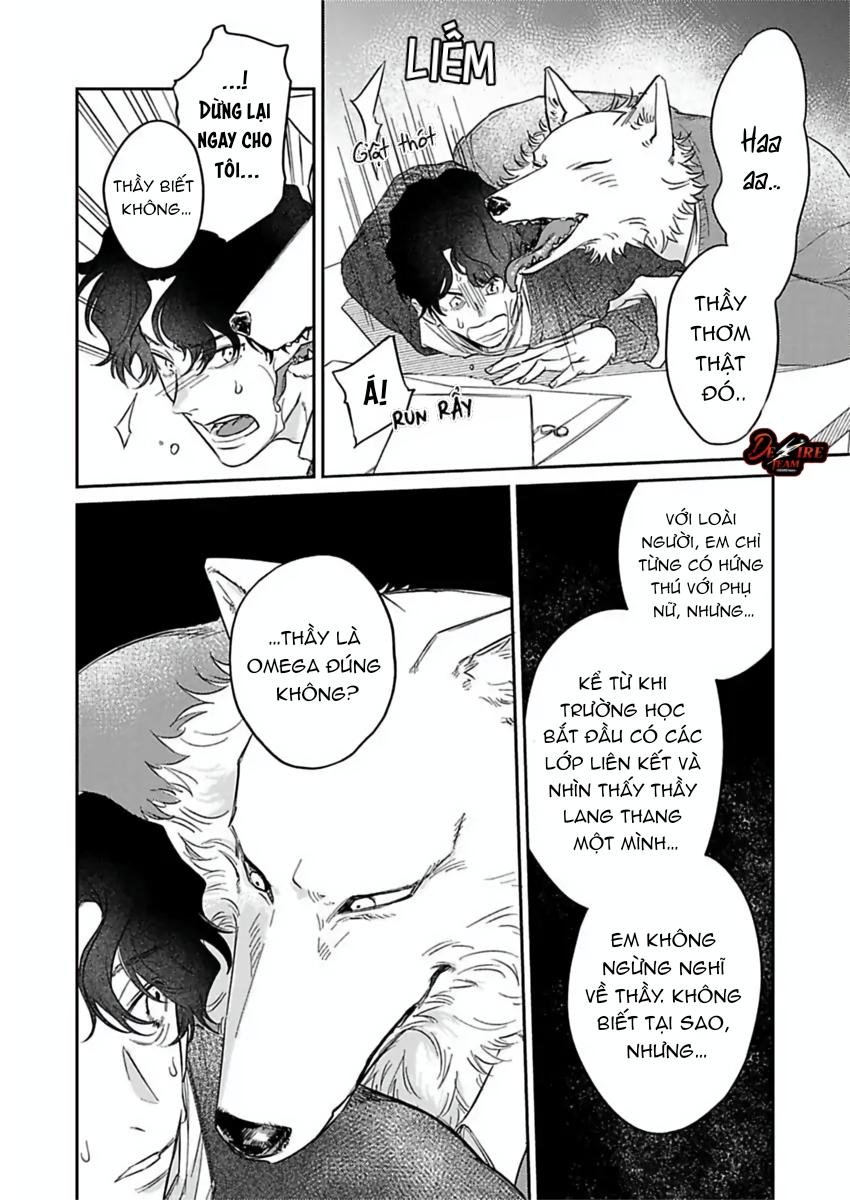 Tình Yêu Mãnh Liệt Của Ngài Sói Chapter 6 - Trang 2