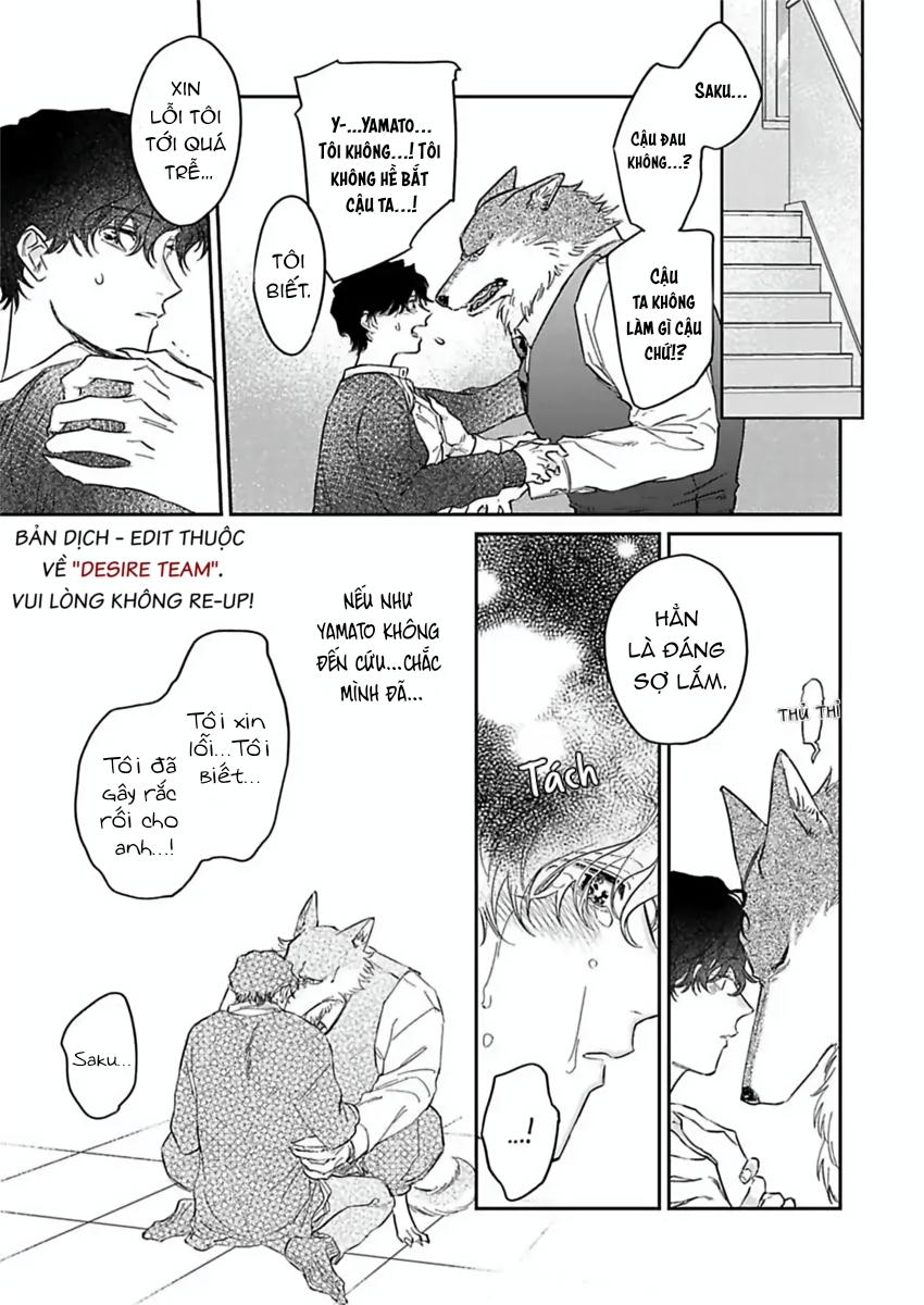 Tình Yêu Mãnh Liệt Của Ngài Sói Chapter 6 - Trang 2