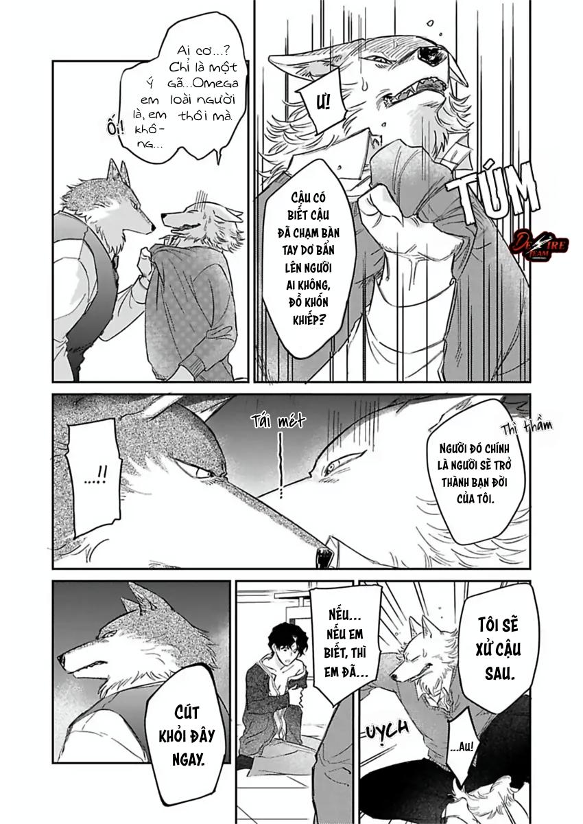Tình Yêu Mãnh Liệt Của Ngài Sói Chapter 6 - Trang 2