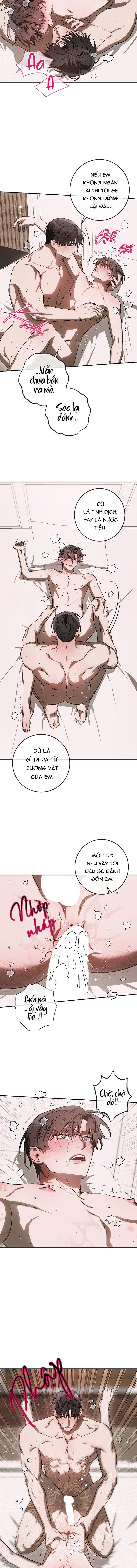 BẢO VẬT Chapter 40 - Trang 2