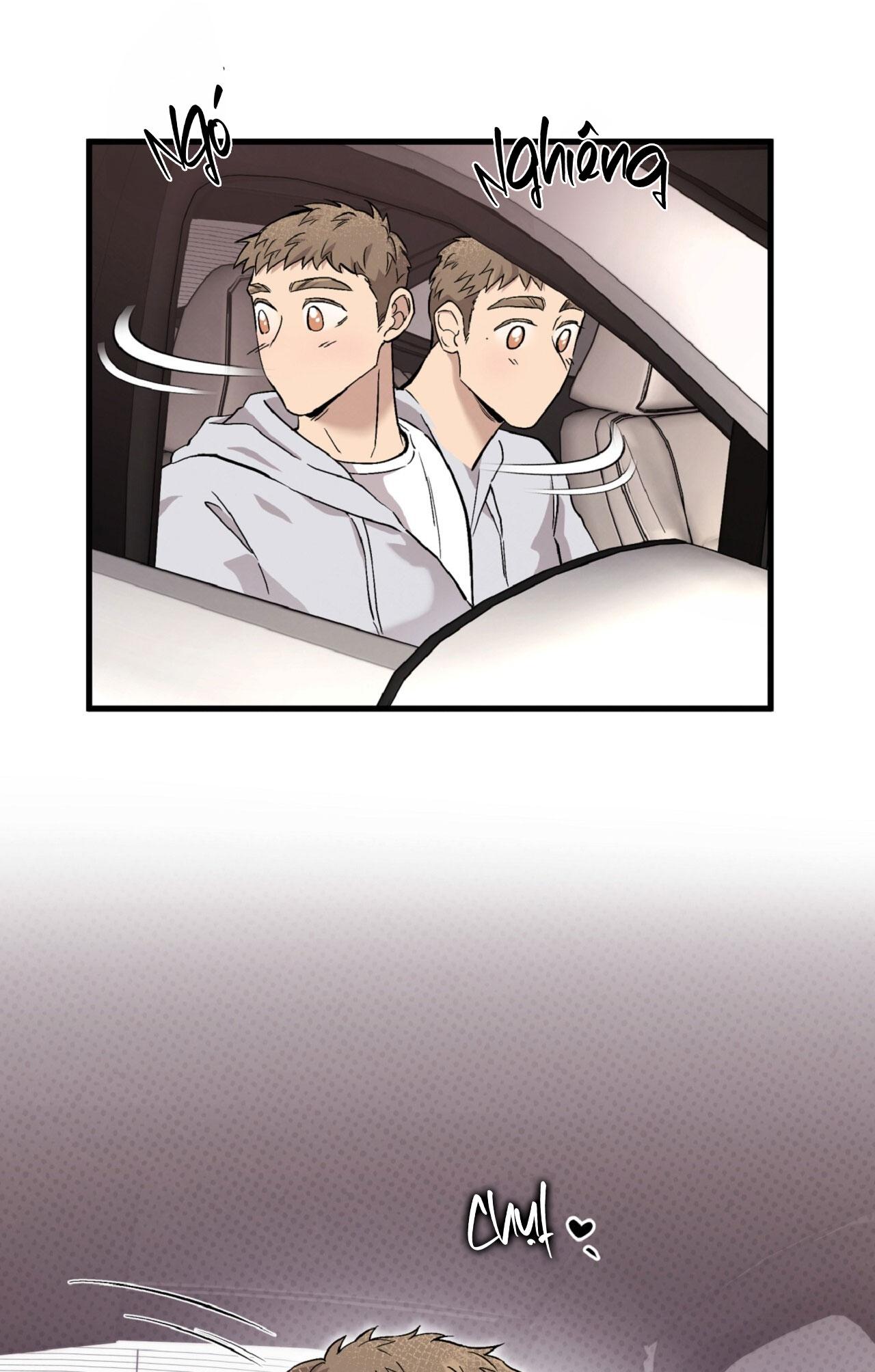 HONEY BEAR Chapter 76 - Trang 2