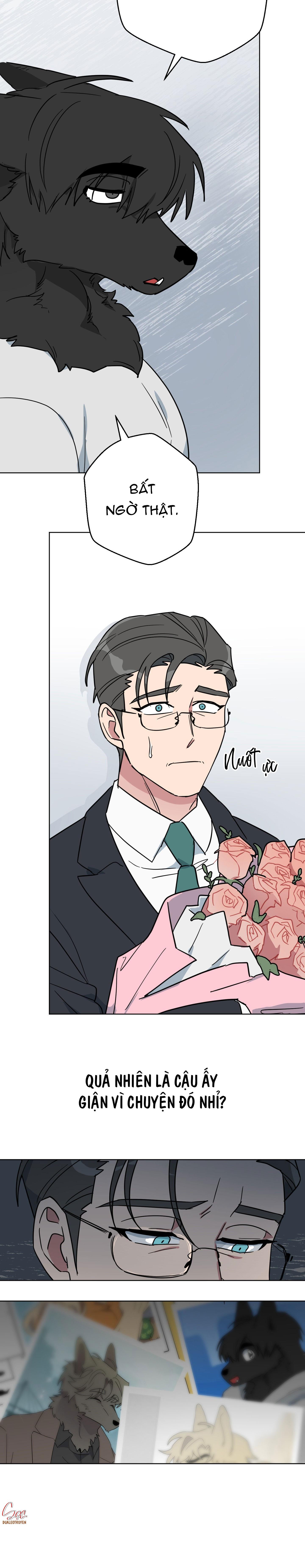 CHÚ ĐÃ BIẾT HẾT RỒI SAO ? Chapter 50 - Next 