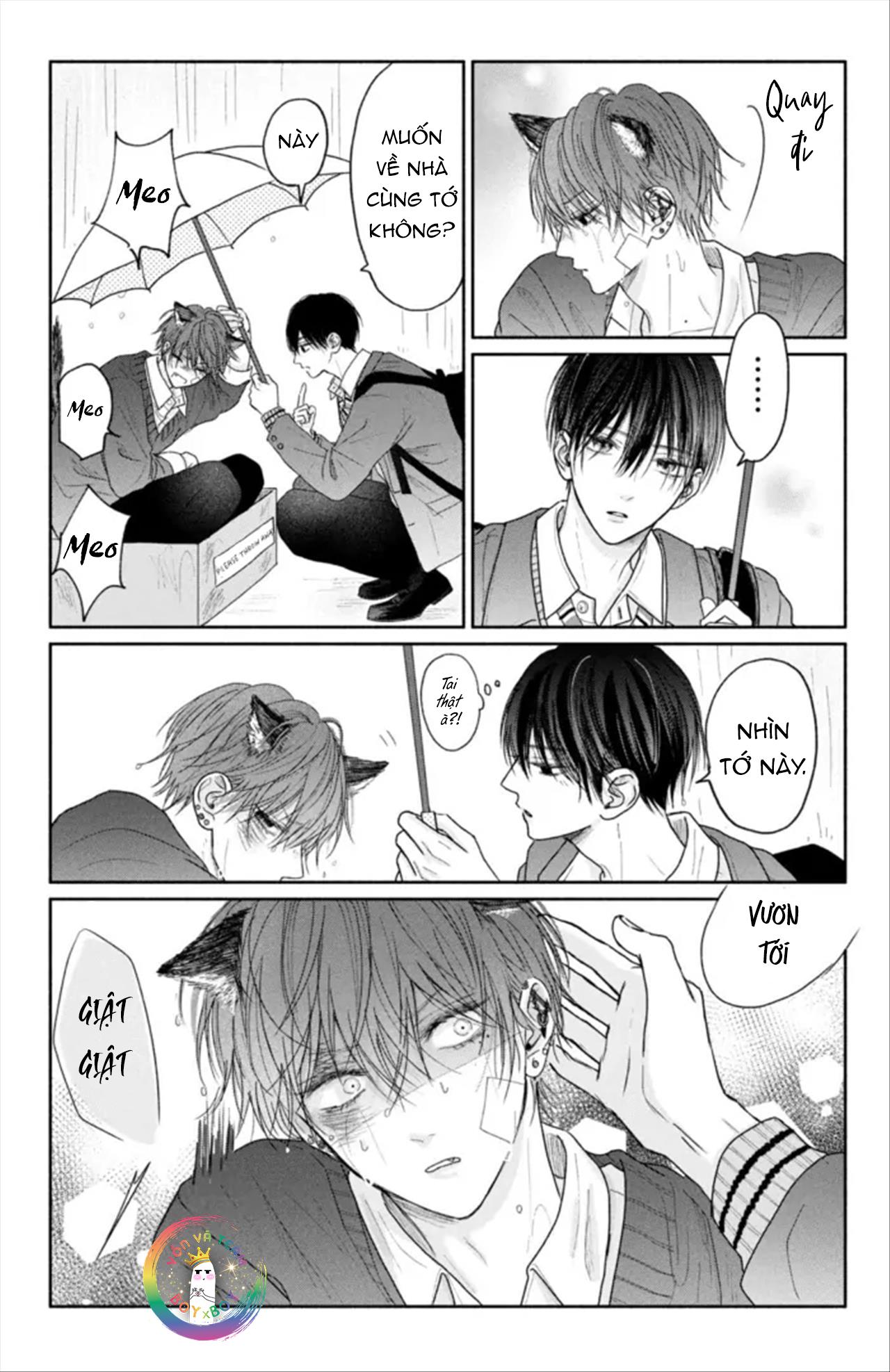 Tình Yêu Không Thể Giấu Chapter 4.5 - Trang 2