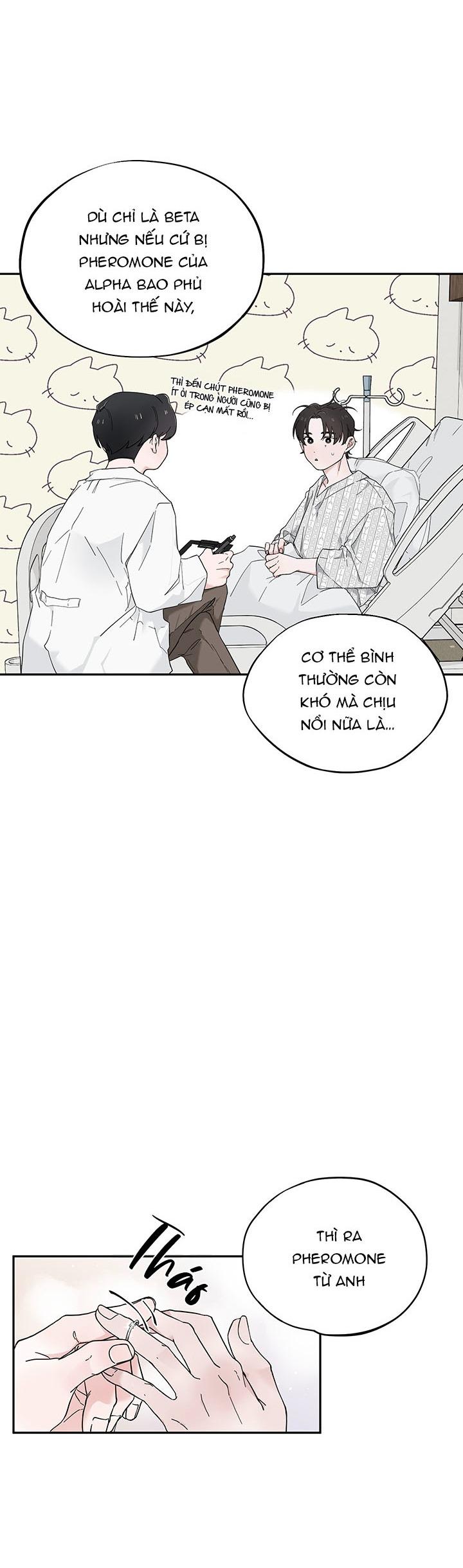 TUYỂN TẬP ABO - MANG THAI NGẮN CỦA NHÀ SẸC Chapter 70.9 pheromone end - Next Chapter 71.1 thuần hóa 1