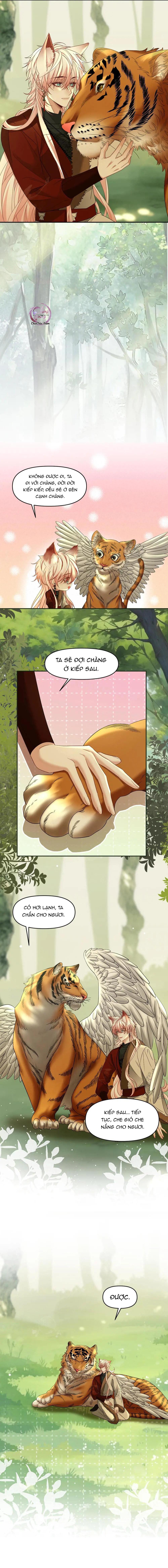 Khát Vọng Ngọt Ngào Chapter 446 - Trang 2