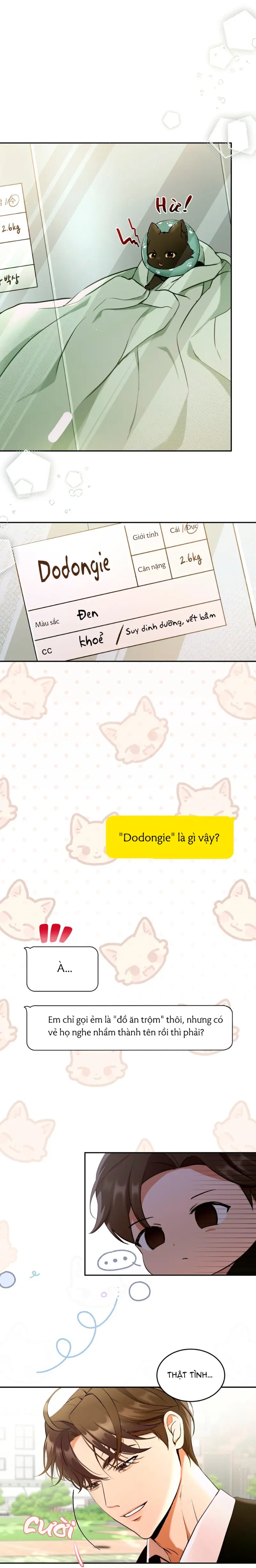 LIỆU PHÁP MÈO Chapter 1 NGANG RAW - Trang 2