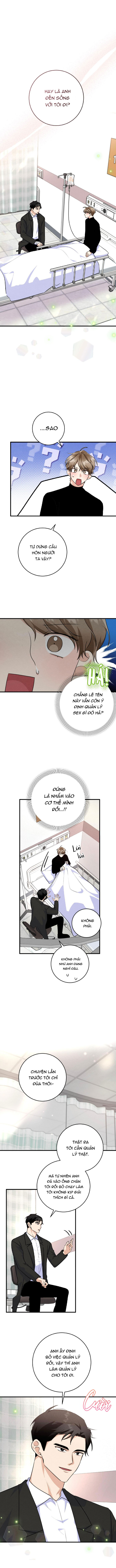 Kẻ Thu Gom Rác Chapter 11 - Next 