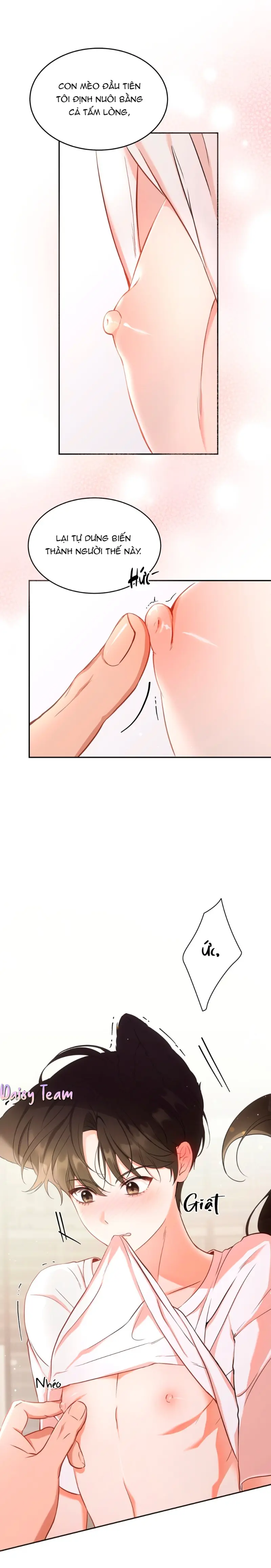 LIỆU PHÁP MÈO Chapter 1 NGANG RAW - Trang 2