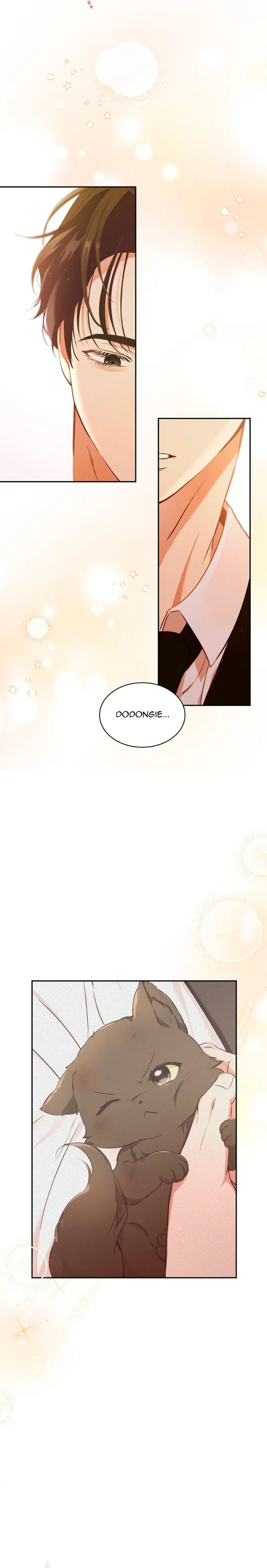 LIỆU PHÁP MÈO Chapter 1 NGANG RAW - Trang 2