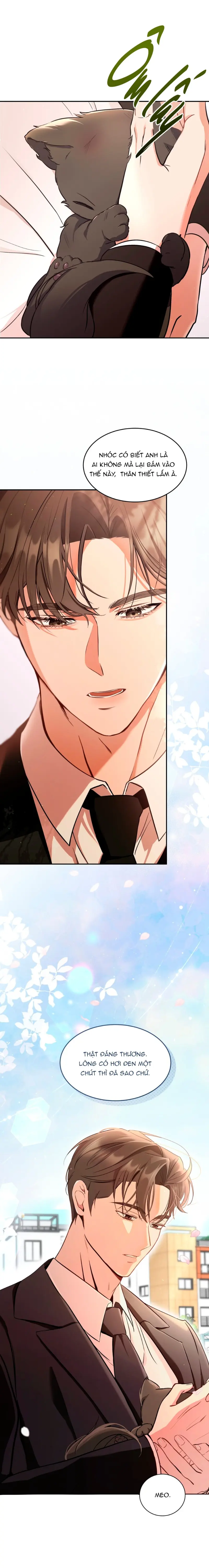 LIỆU PHÁP MÈO Chapter 1 NGANG RAW - Trang 2