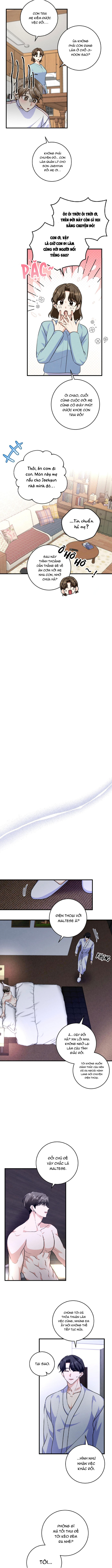 Kẻ Thu Gom Rác Chapter 11 - Next 