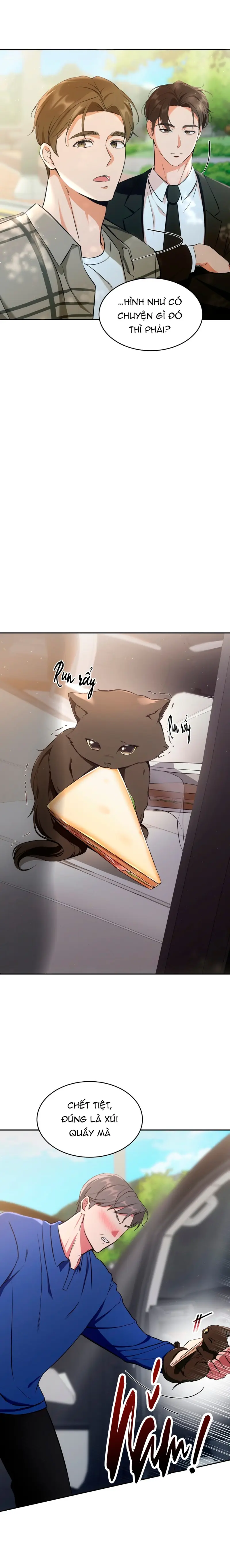 LIỆU PHÁP MÈO Chapter 1 NGANG RAW - Trang 2