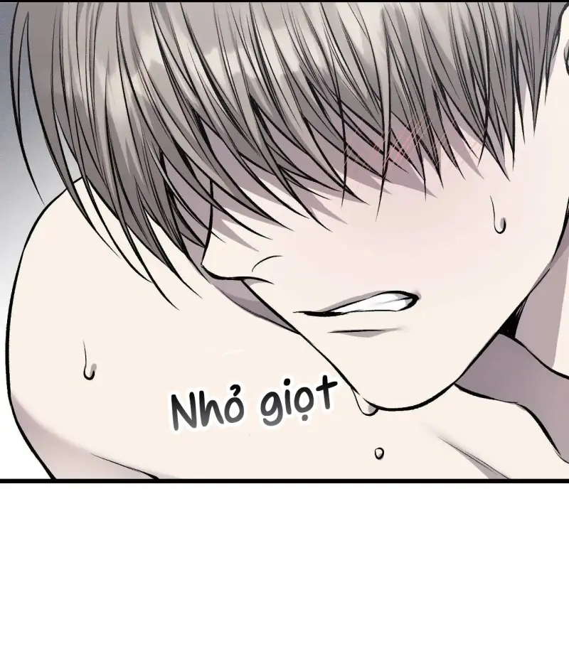 Caddie của riêng tôi Chapter 15 - Next 