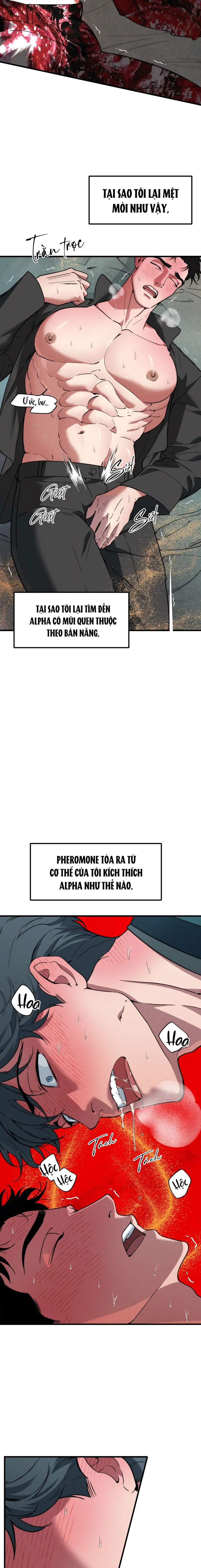 ANH CHỒNG TẾ PHẨM Chapter 36 - Next Chapter 37