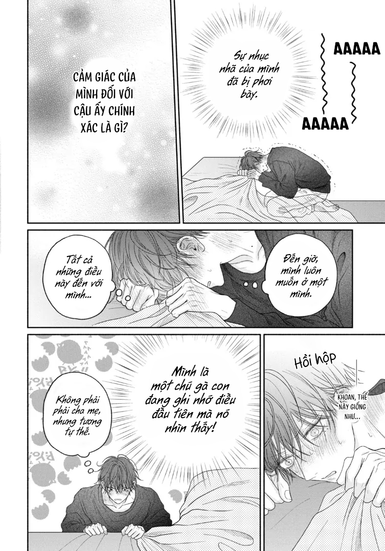 Tình Yêu Không Thể Giấu Chapter 5 - Next 