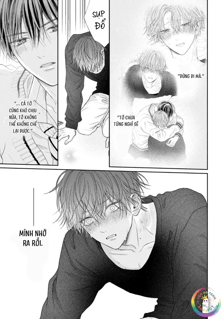 Tình Yêu Không Thể Giấu Chapter 5 - Next 