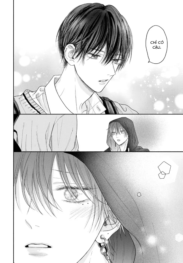 Tình Yêu Không Thể Giấu Chapter 5 - Next 