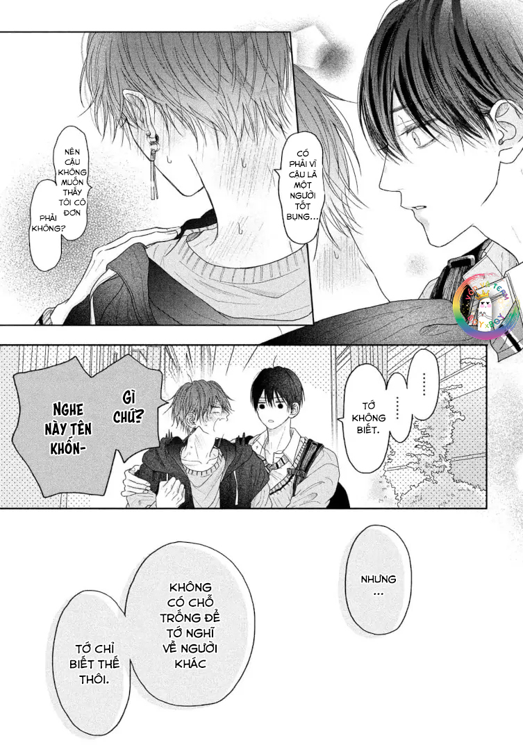 Tình Yêu Không Thể Giấu Chapter 5 - Next 