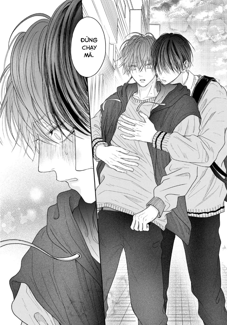 Tình Yêu Không Thể Giấu Chapter 5 - Next 