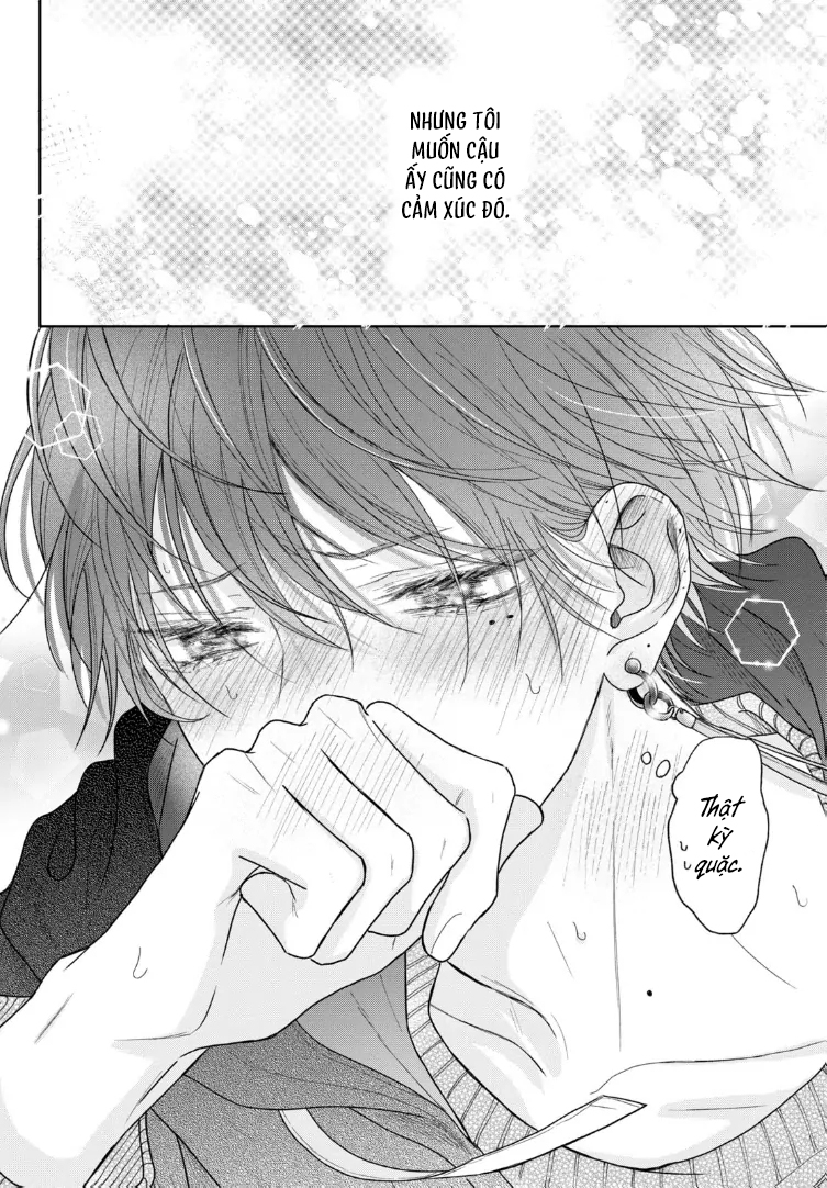 Tình Yêu Không Thể Giấu Chapter 5 - Next 