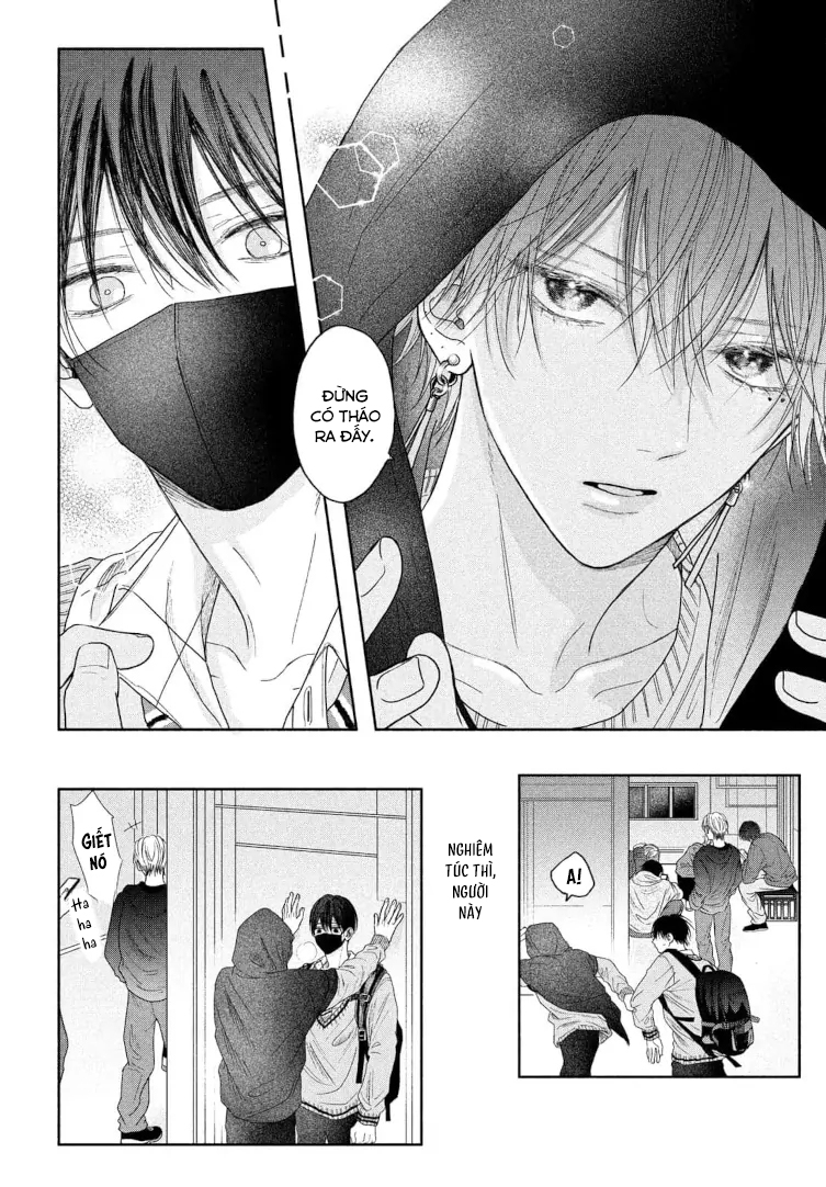 Tình Yêu Không Thể Giấu Chapter 5 - Next 