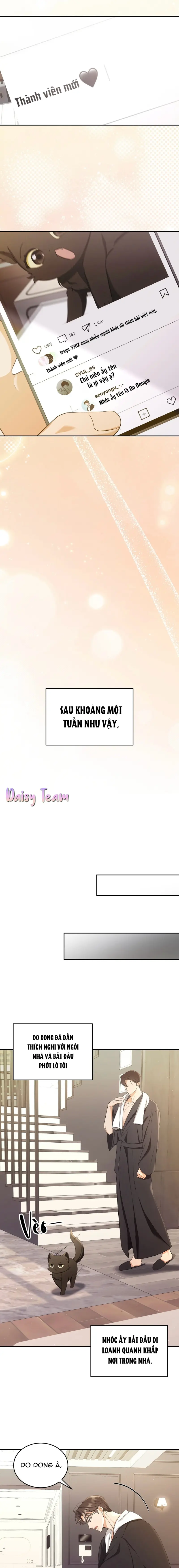 LIỆU PHÁP MÈO Chapter 2 - Next Chapter 3