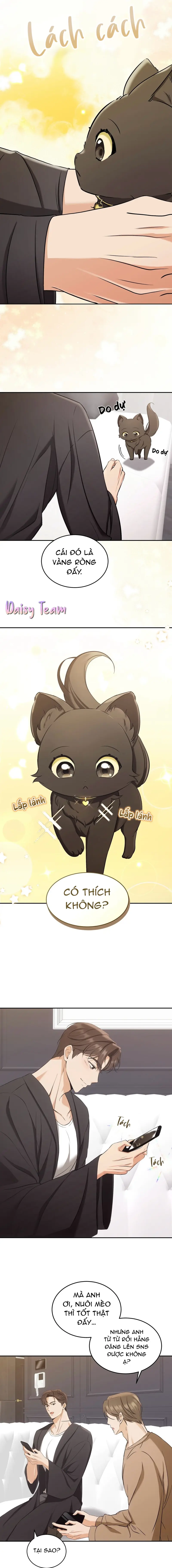 LIỆU PHÁP MÈO Chapter 2 - Next Chapter 3