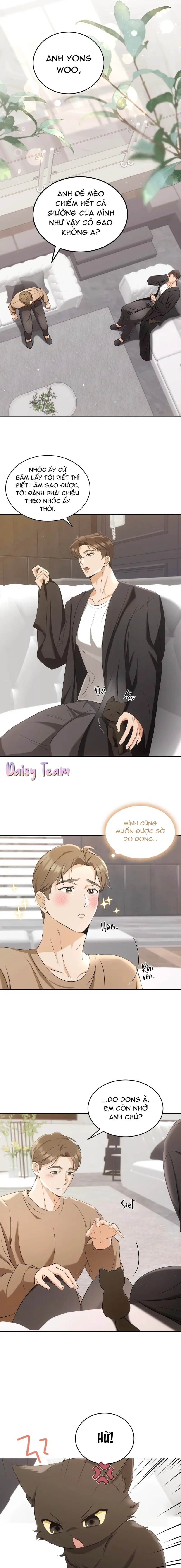 LIỆU PHÁP MÈO Chapter 2 - Next Chapter 3