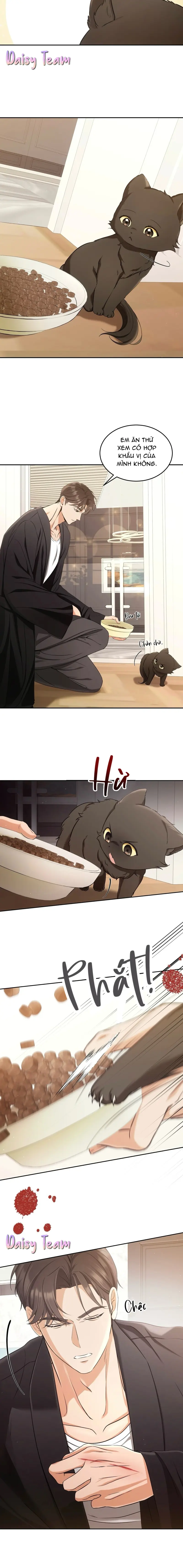 LIỆU PHÁP MÈO Chapter 2 - Next Chapter 3