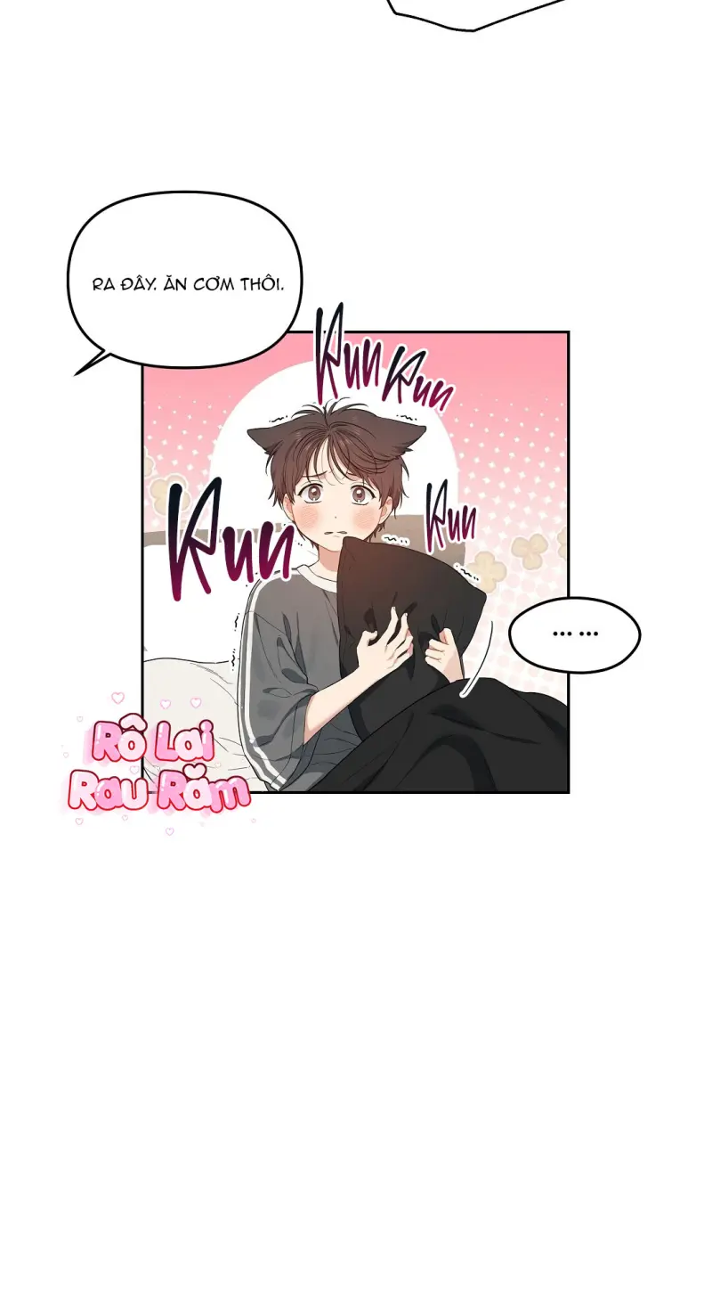 Hoa Anh Đ ào    Chapter 37 - Next 