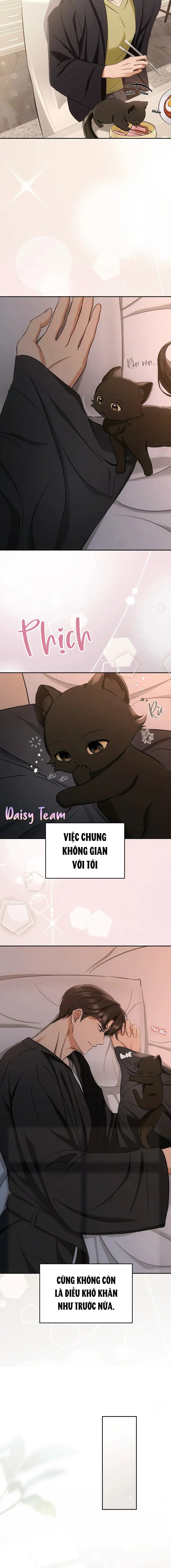 LIỆU PHÁP MÈO Chapter 2 - Next Chapter 3