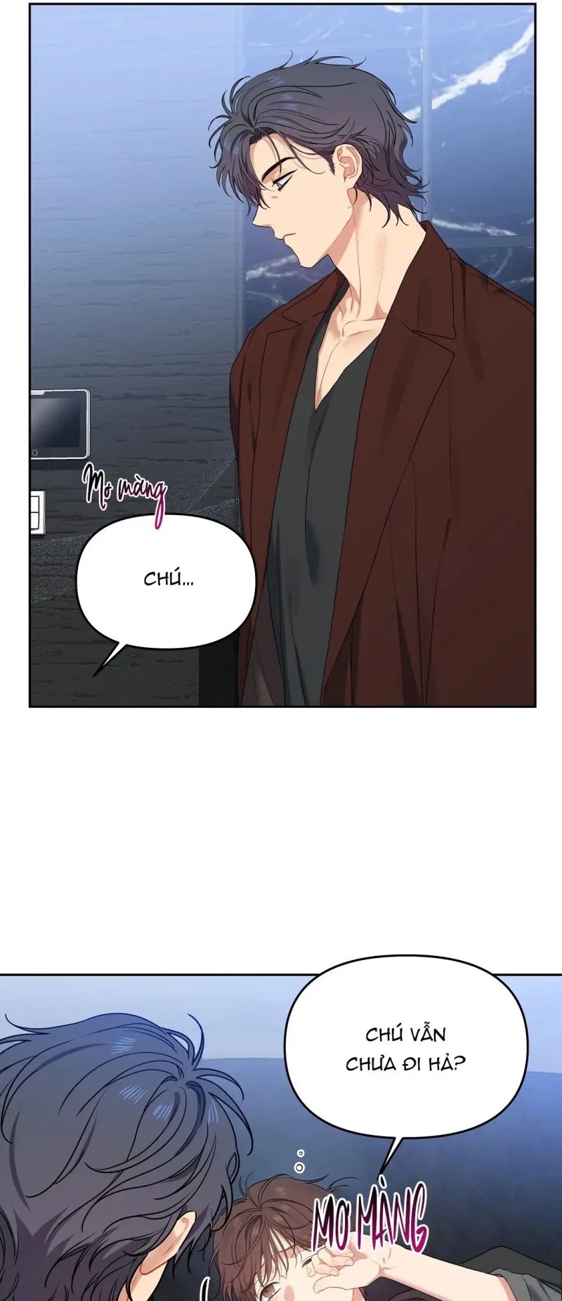 Hoa Anh Đ ào    Chapter 37 - Next 