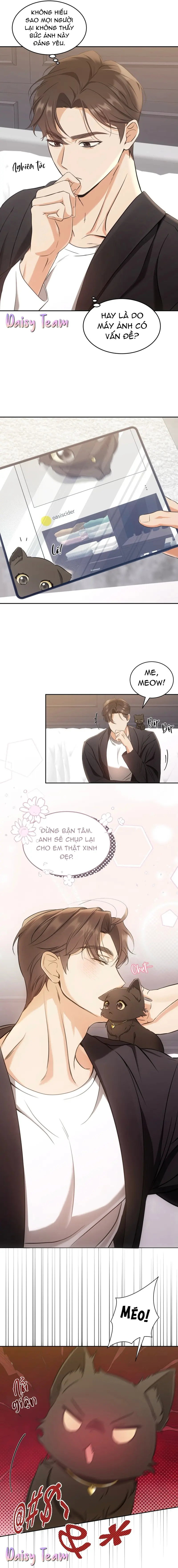 LIỆU PHÁP MÈO Chapter 2 - Next Chapter 3