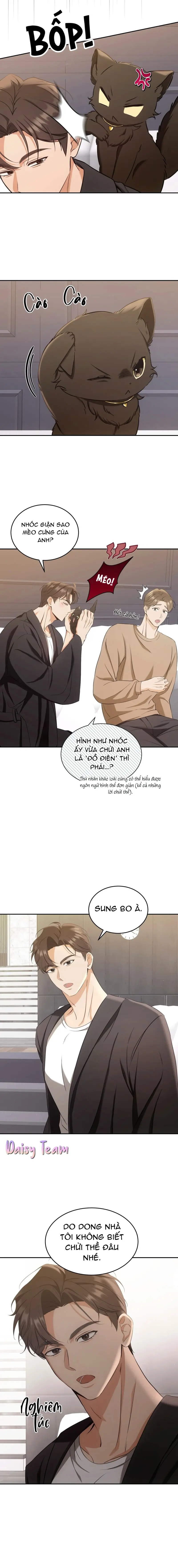 LIỆU PHÁP MÈO Chapter 2 - Next Chapter 3