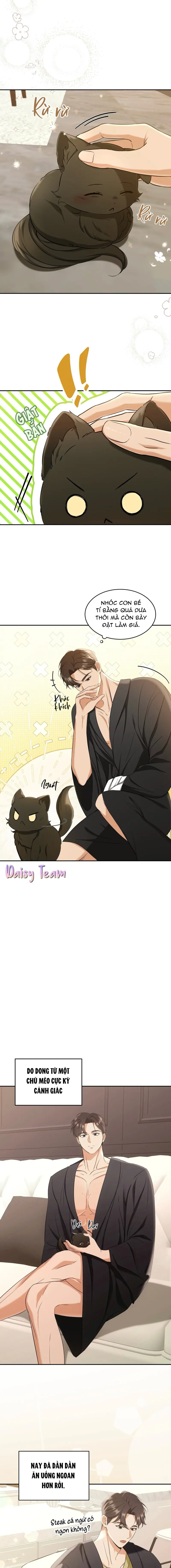 LIỆU PHÁP MÈO Chapter 2 - Next Chapter 3