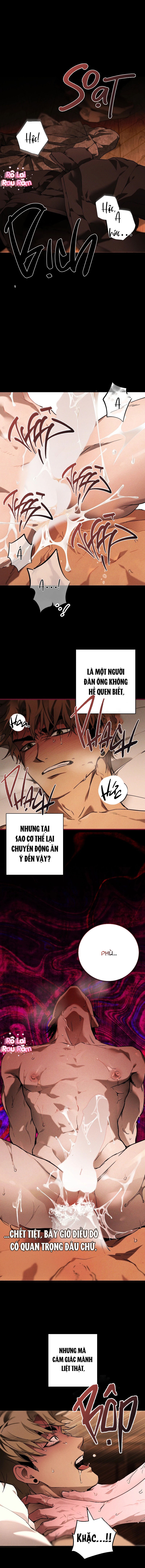 Hãy chết trong vòng tay của tôi Chapter 6 - Next 