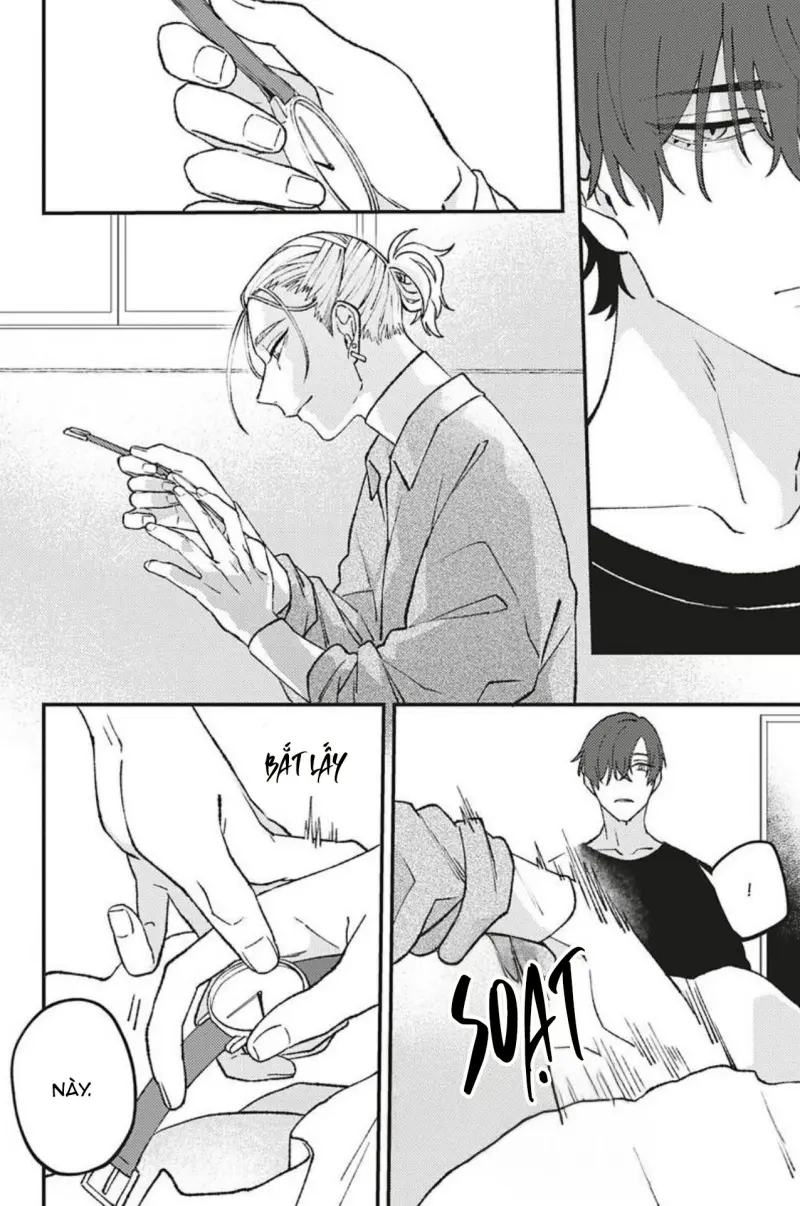 Vết Cắn Và Ánh Huỳnh Thạch Chapter 2 - Next 