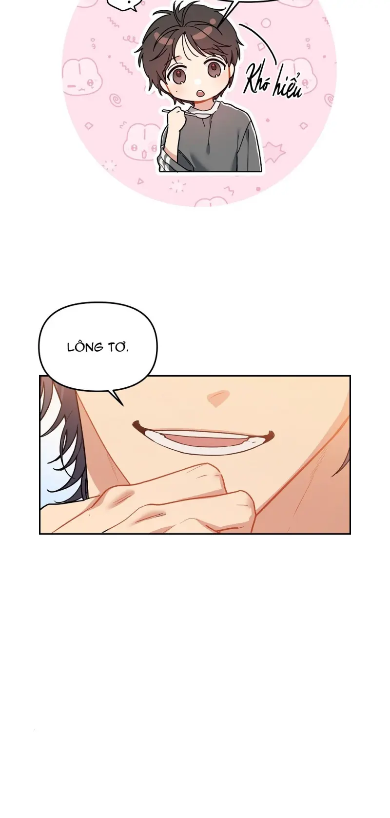 Hoa Anh Đ ào    Chapter 37 - Next 