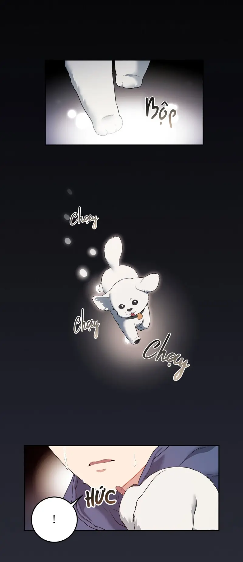 Hoa Anh Đ ào    Chapter 37 - Next 