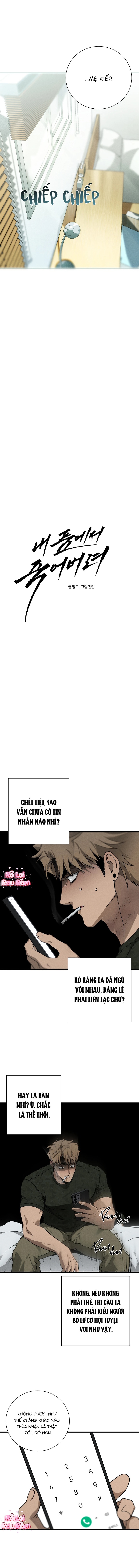 Hãy chết trong vòng tay của tôi Chapter 6 - Next 
