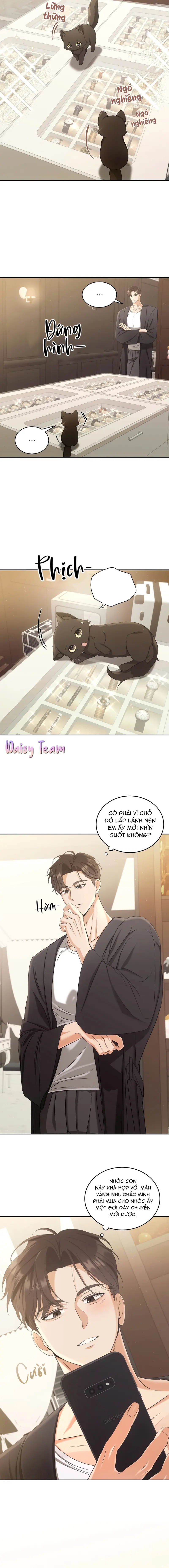 LIỆU PHÁP MÈO Chapter 2 - Next Chapter 3