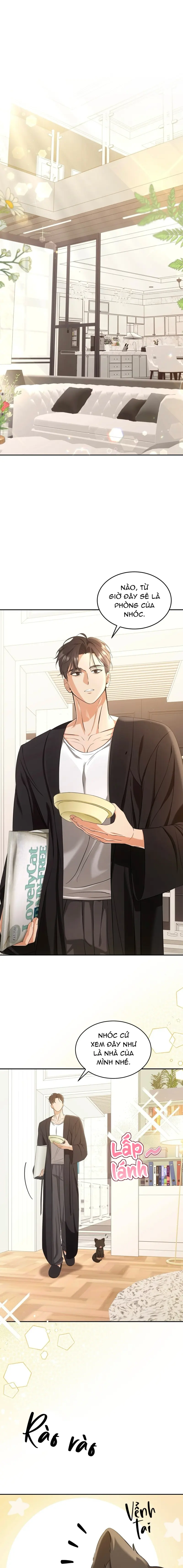 LIỆU PHÁP MÈO Chapter 2 - Next Chapter 3