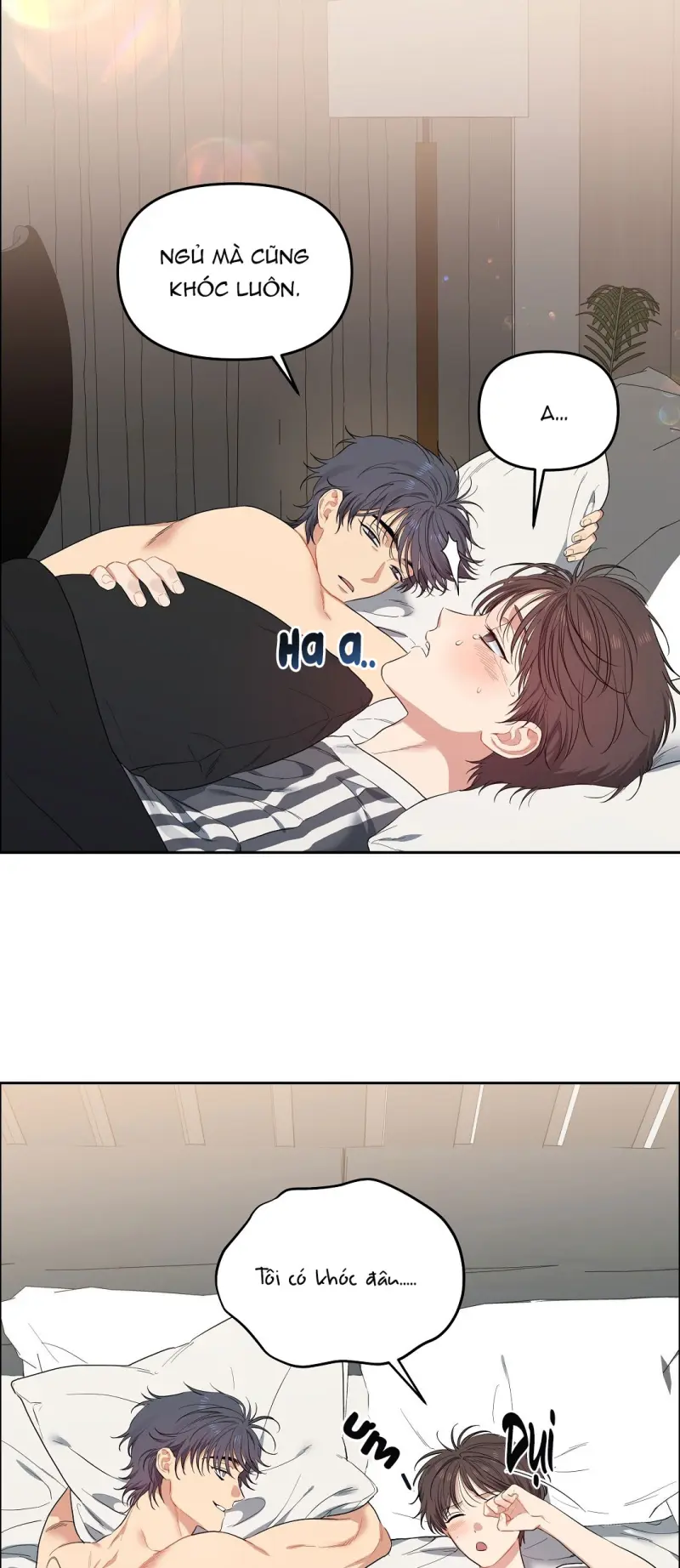 Hoa Anh Đ ào    Chapter 37 - Next 